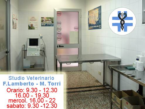 Studio Veterinario Lamberto - Torri